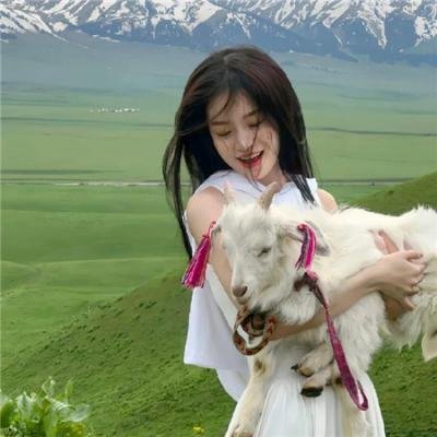 爱的守护2016国语
